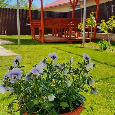 Casa Caraua Villa Greci Bagian luar foto
