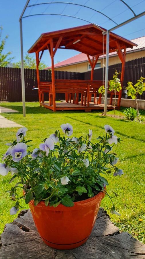 Casa Caraua Villa Greci Bagian luar foto